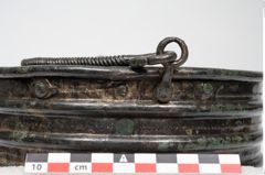 Foto von Bronzerippenziste (NHMW-PRAE-025670)